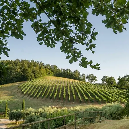 Tenuta La Torraccia *