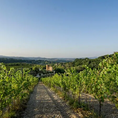 Tenuta La Torraccia 오르테